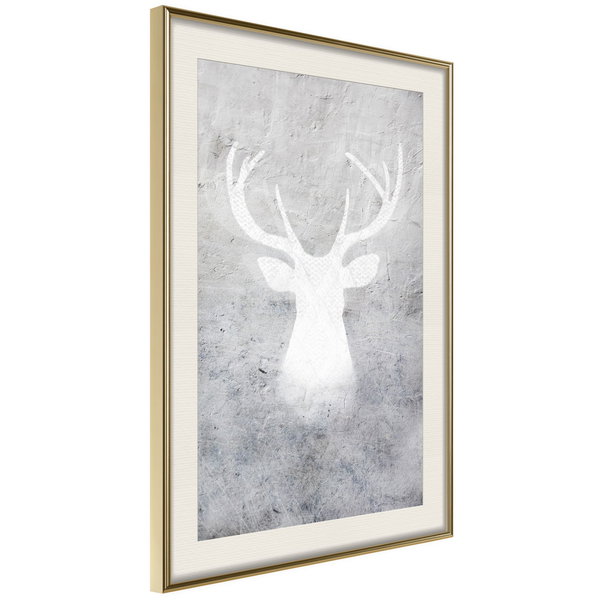 Poster 'White Shadow'