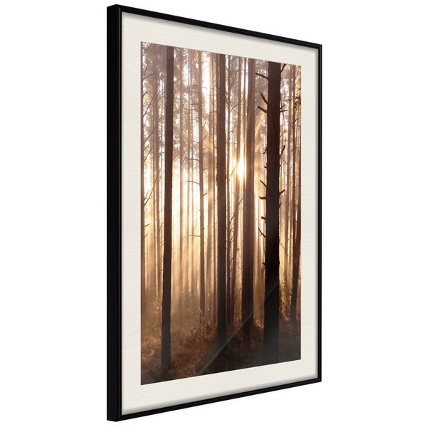 Poster 'Morning in the Forest'