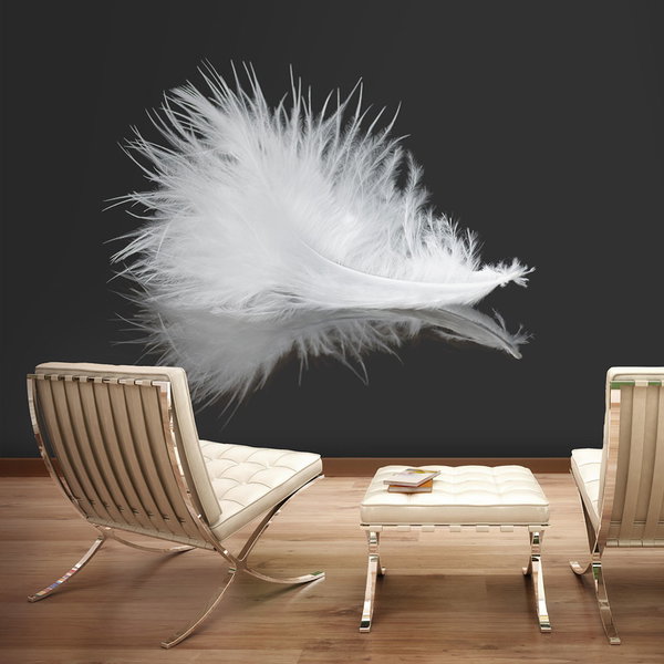 Papier peint 'White feather'