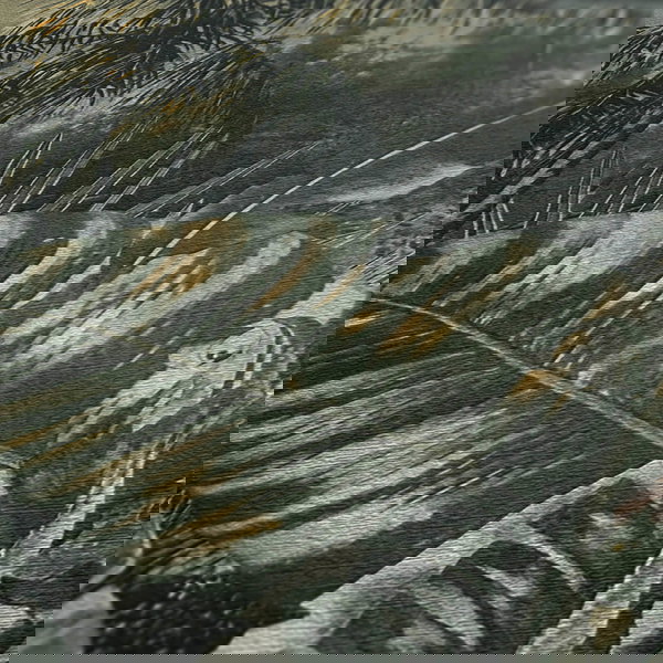 Papel pintado 'Unexplored World' 53x1005cm