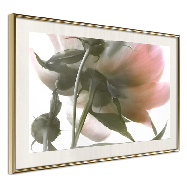 Poster 'Under the Flower'