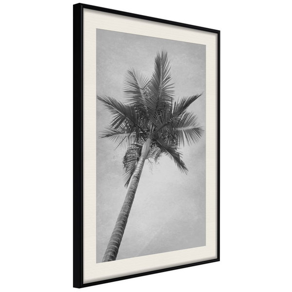 Poster 'Memories from the Paradise'