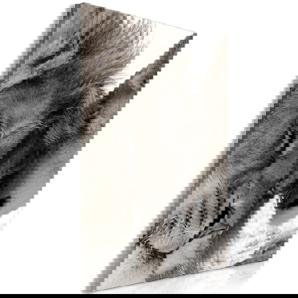 Kunstdruk op canvas 'Whispering Dreams Vertical'