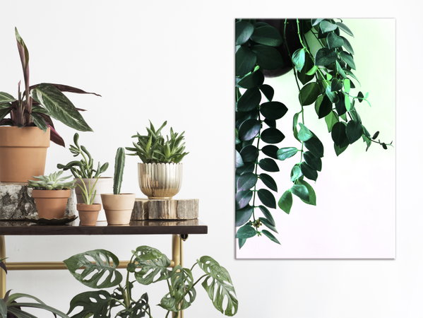 Kunstdruck auf Leinwand 'Corals of Nature Vertical'