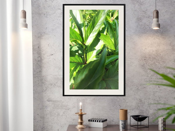 Poster 'Somewhere in the Garden'