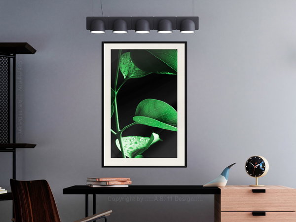 Poster 'Calm After the Storm'