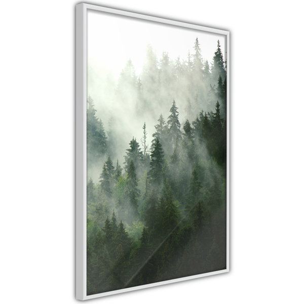Poster 'Steaming Forest'