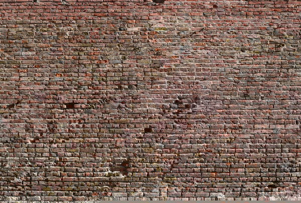 Tapéta 'Bricks 1' 400x270cm