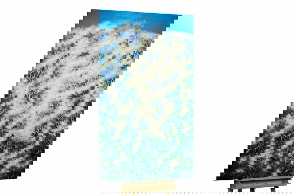 Un exemplaire unique pour votre intérieur