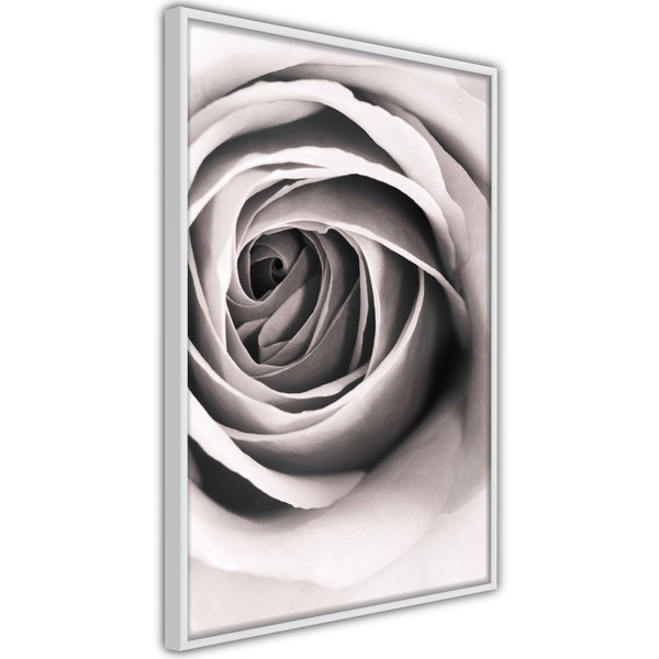 Poster 'Structure of Petals'