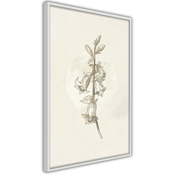 Poster 'Beige Campanula'