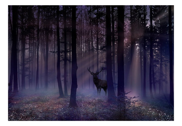 Tapete 'Mystical Forest - Second Variant'