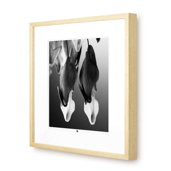 Unsere Flower-Edition als Fotogalerie