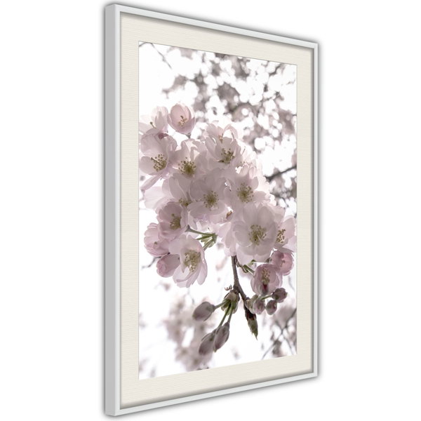 Poster 'Spring Visit'
