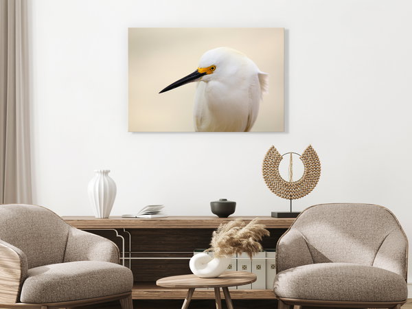 Kunstdruck auf Leinwand 'Snowy Egret Wide'