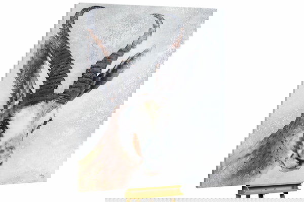 Unikat za sva četiri zida