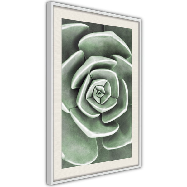 Poster 'Robust Plant'