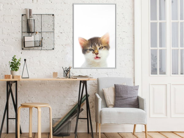 Poster 'Vexed Cat'