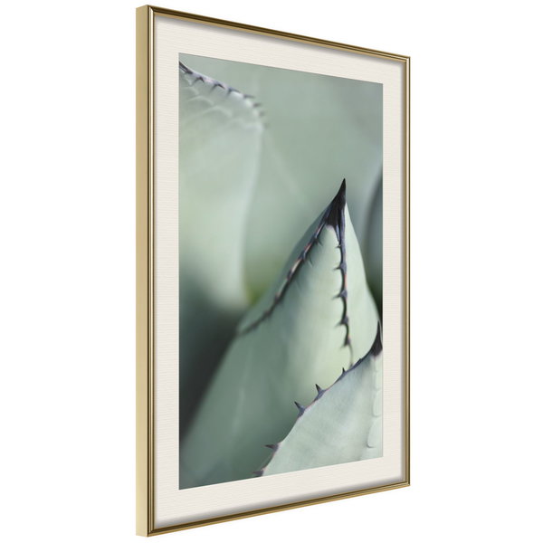 Poster 'Young Leaf of Agave'