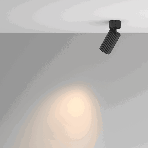Plafondverlichting 'Calipso 6'