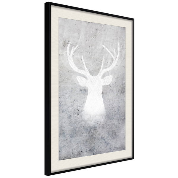 Poster 'White Shadow'
