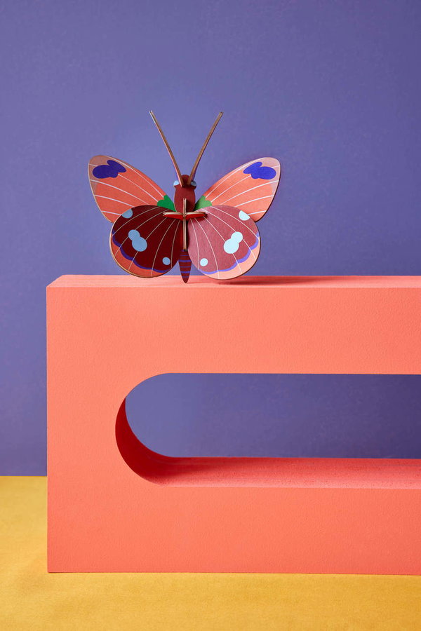 Wanddeko Papier 'Delias-Schmetterling'