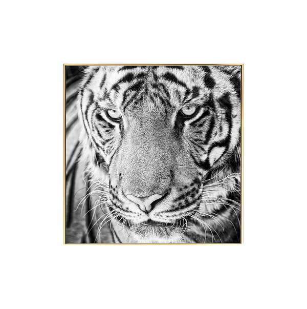 Artistieke momentopname