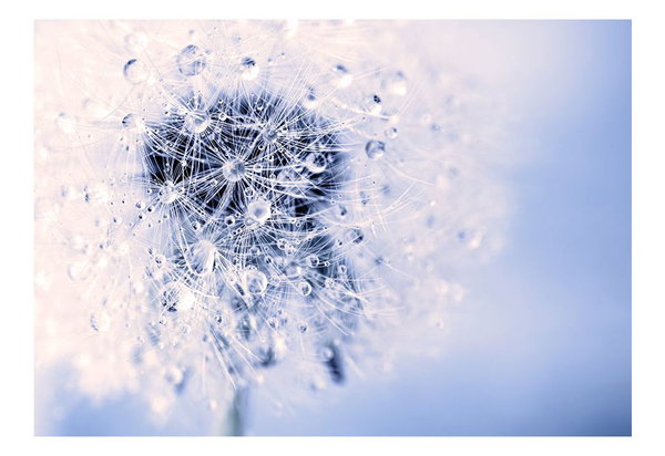 Tapete 'Etheric Morning'