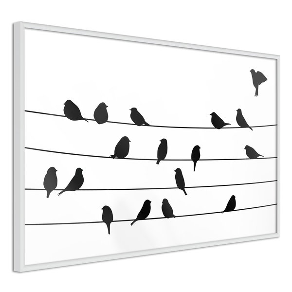 Poster 'Birds Council Meeting'