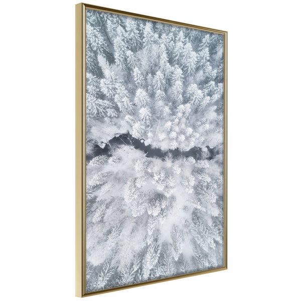 Poster 'Winter Forest From a Bird's Eye View'