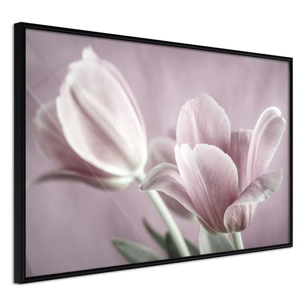 Poster 'Pastel Tulips I'
