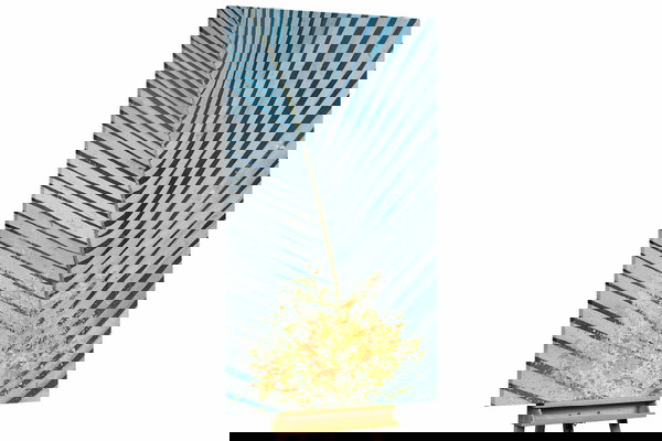 Een uniek exemplaar voor je interieur