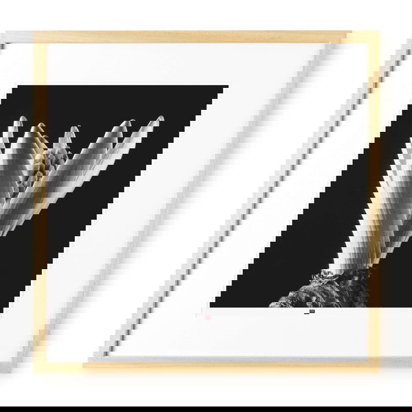 Limitierte Fotokunst