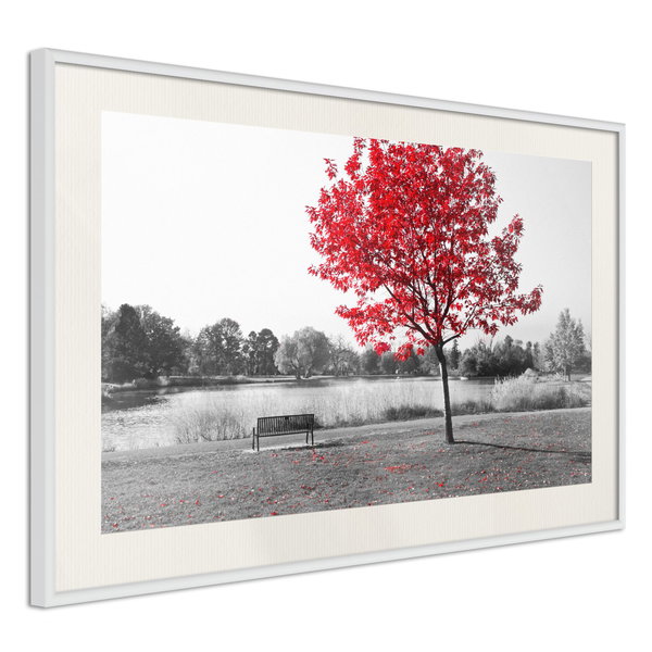 Poster 'Autumn Colours I'