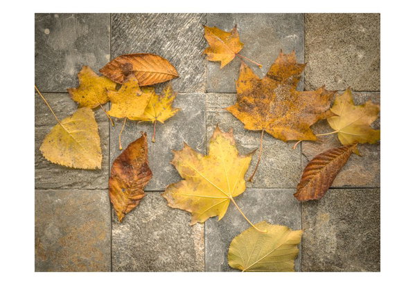 Tapete 'Vorbote des Herbstes'