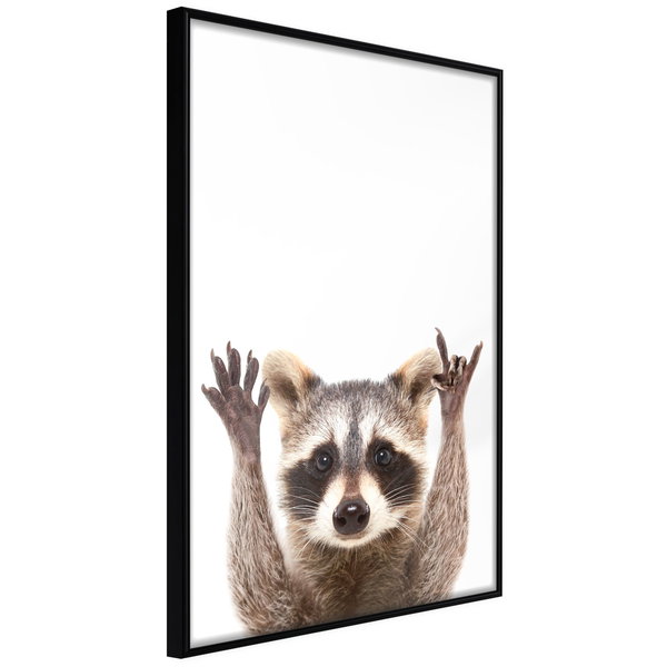 Poster 'Raccoon'