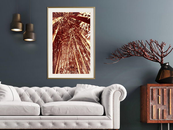 Poster 'Asian Forest'