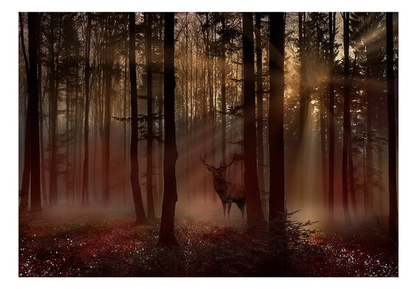 Tapete 'Mystical Forest - First Variant'