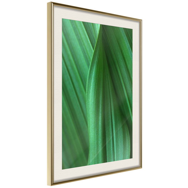 Poster 'Leaf Structure'