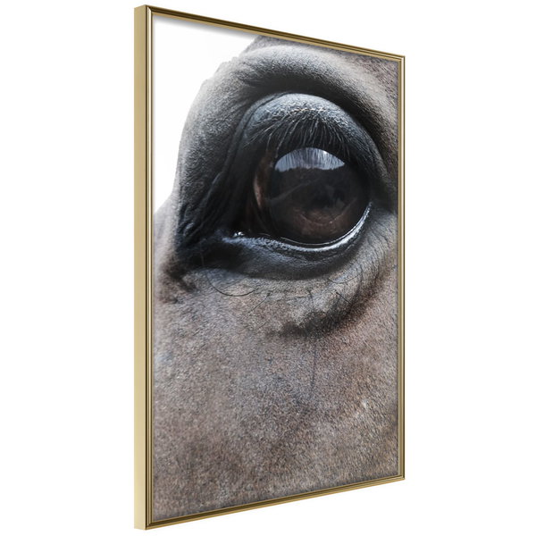 Poster 'Honest Eyes'
