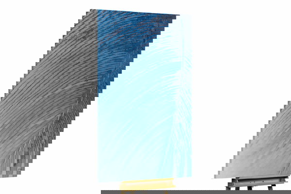 Un ejemplar único para su hogar o puesto de trabajo