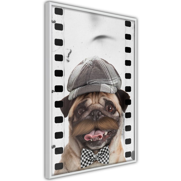 Poster 'Pug In Hat'