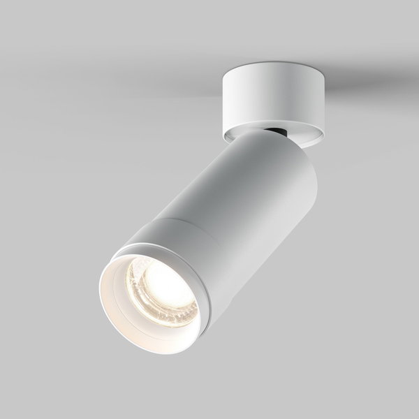 Plafondverlichting 'Focus Zoom 4'