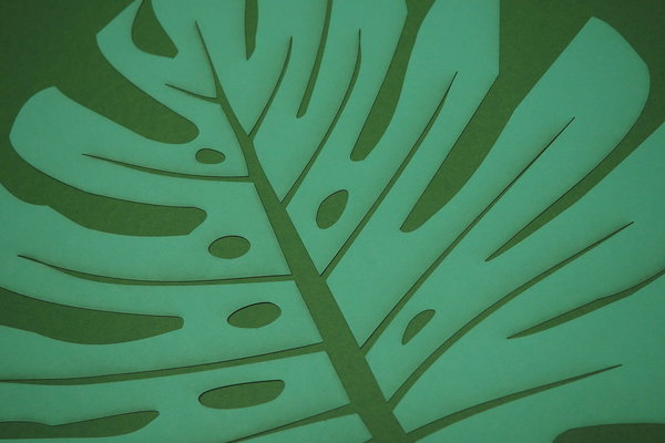 Papierkunst Wandbild 'Monstera Blatt' 50x50cm
