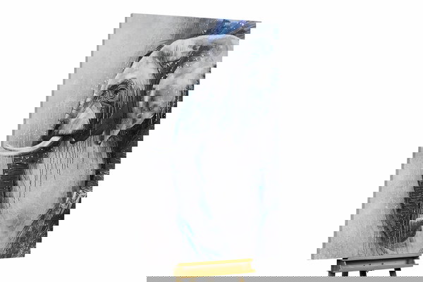 Unikat za sva četiri zida