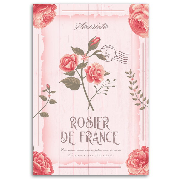 Kunstdruck auf Leinwand 'Rosier de France'