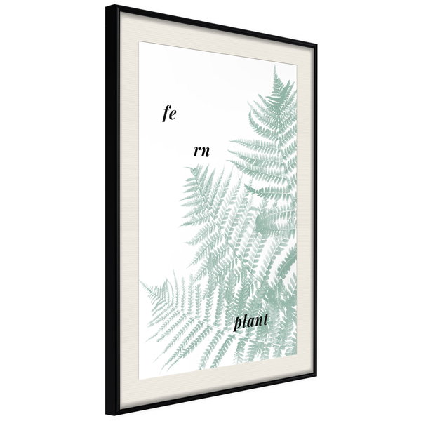 Poster 'Pale Green Fern'