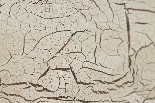 Mit Liebe zum Detail