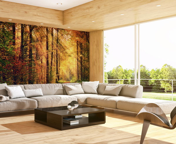 Tapete 'Autumn Forest 2' 400x267cm