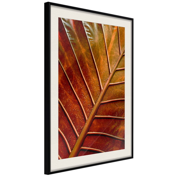Poster 'Bronze Leaf'